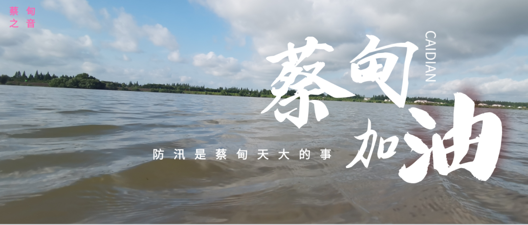 蔡甸區啟動防汛ⅰ級應急響應，做好鋪土釘防汛木樁工作