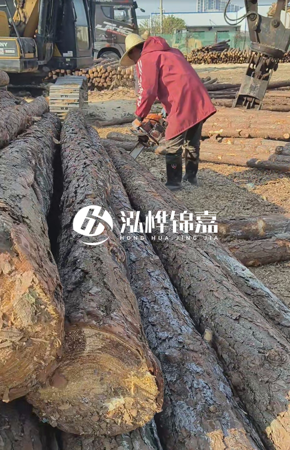 長沙打樁木批發廠家在哪里？聯系方式是什么？