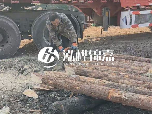 松木圓木價格大概多少一方-松木樁廠家按方可以賣嗎？
