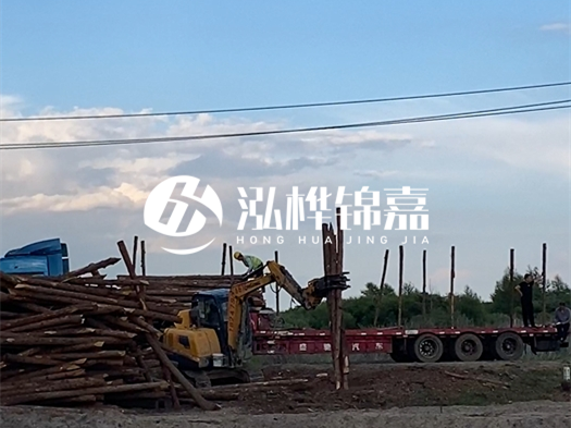 河北打樁木源頭廠家泓樺錦嘉 - 北方常用打樁木是什么？