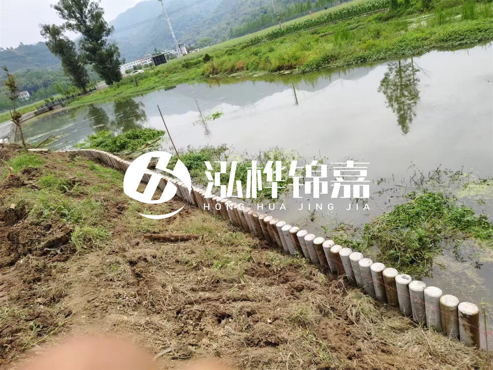 松木樁加固河道與水泥樁對比如何？哪一種更加適合您？