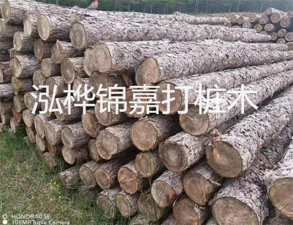 高效修補，保駕護航！水泥路面高強度修補料為您解決煩惱！