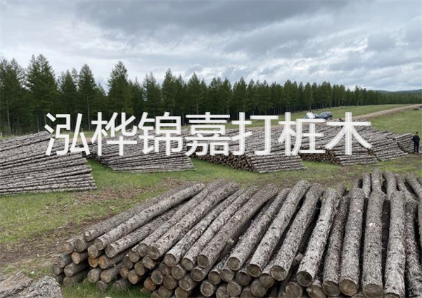 鋼結(jié)構(gòu)施工方案大全免費提供，助力工程建設(shè)