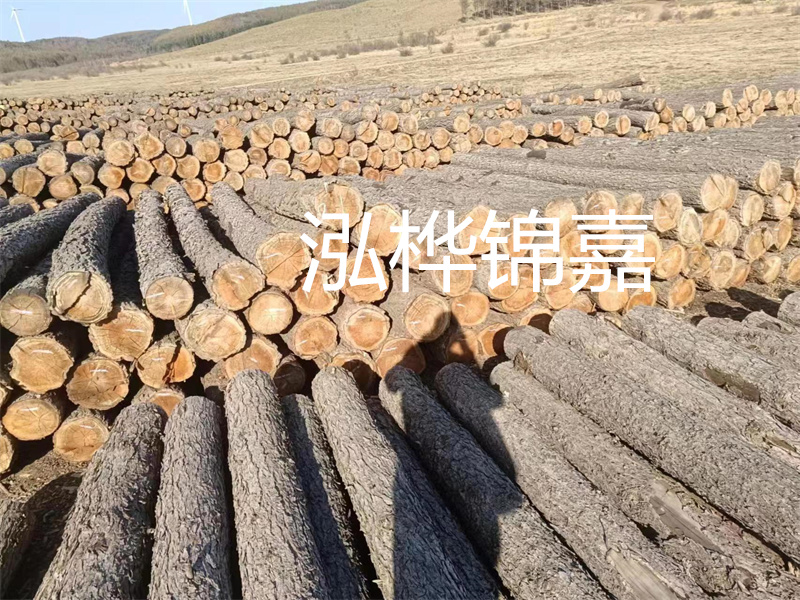 選擇合適的路緣石尺寸，打造美麗道路